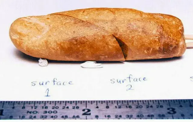the-alleged-100-million-year-old-fossilized-finger-1