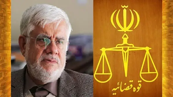 photo_2026-02-10_21-34-03