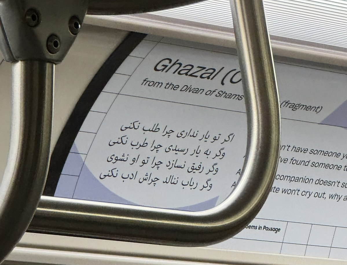 عکسی از مترو تورنتو که حال و هوای ایران را دارد!