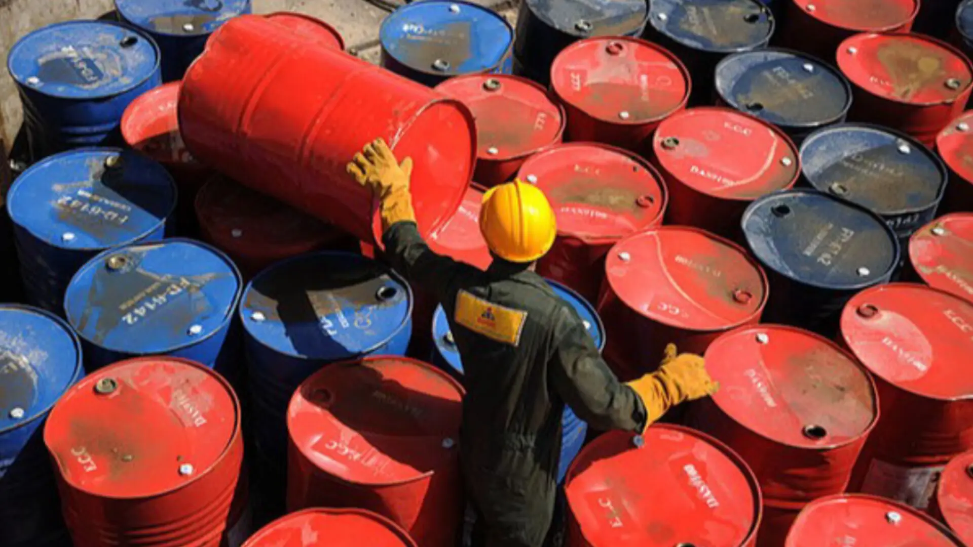 InShot_20260120_221126938