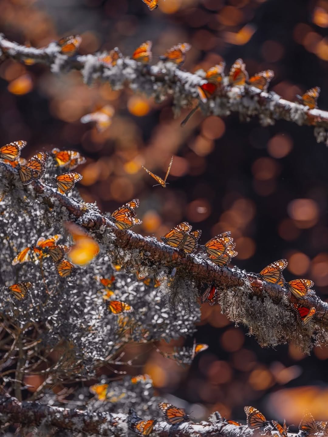 569211436_18552172111044850_8179064815667104032_n