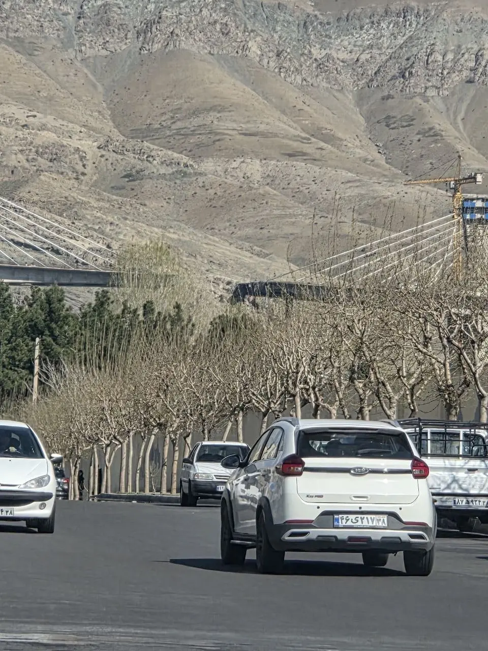 photo_2026-04-02_15-08-52