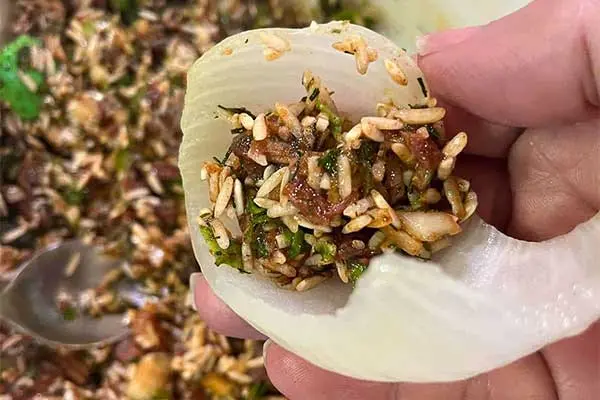 stuffing-onions