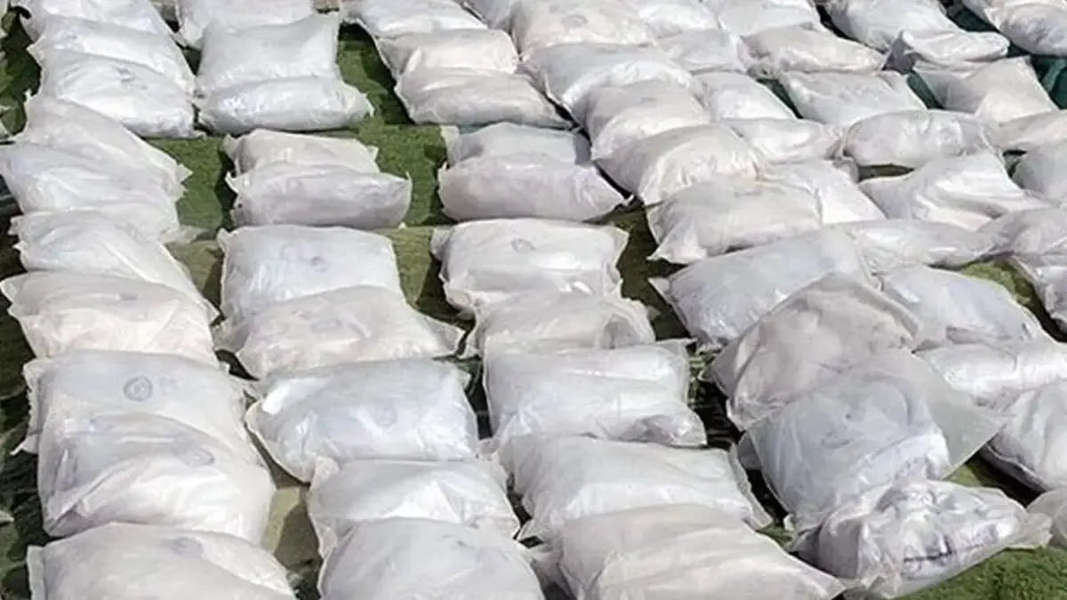 photo_2025-11-21_01-00-34