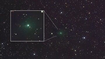 6290354