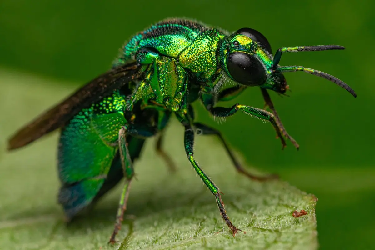 8171443bZjoyNTA5MTc5LmpwZ3xmdWk6MjQwMjAwMHxsOmZhfHY6MQ