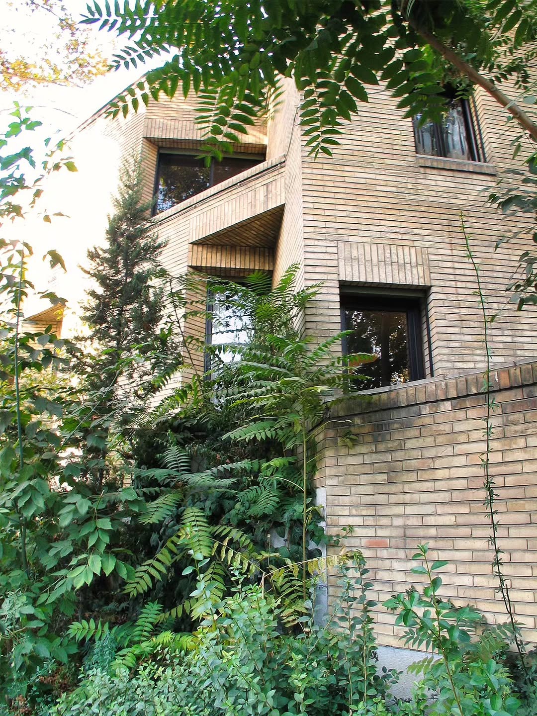 photo_2025-12-24_14-33-18 (3)_11zon