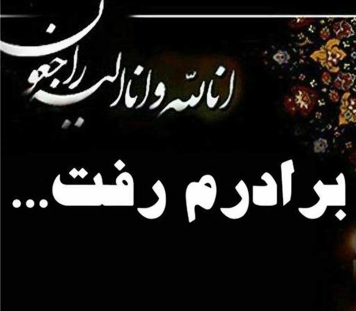 photo_2025-11-08_08-29-57