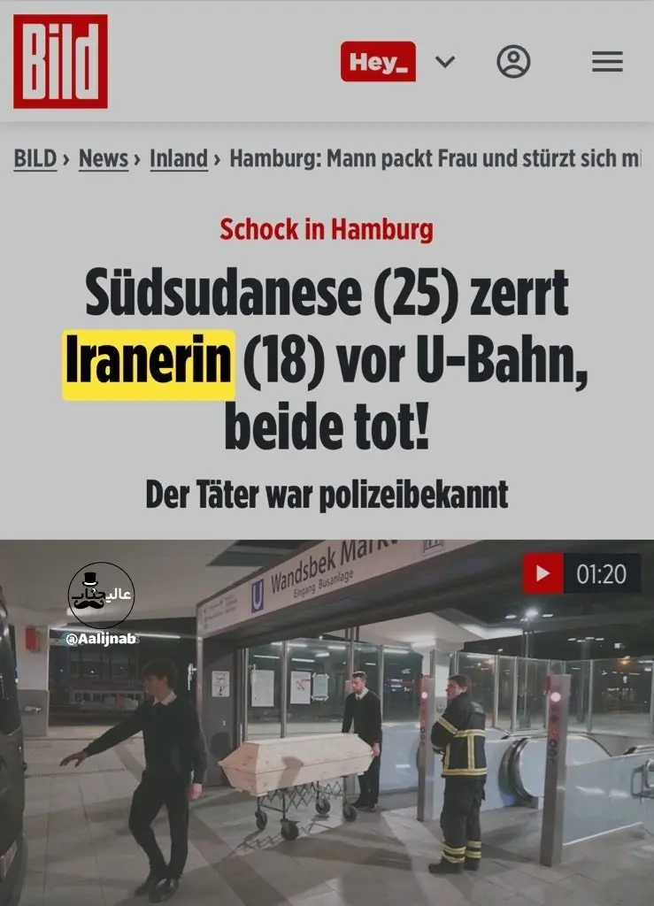 photo_2026-01-31_13-00-38