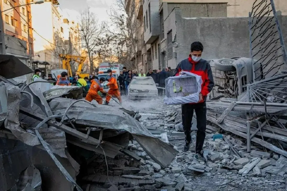 2b72aa4aZTp3ZWJwfGY6MjQ5NTQwNS5qcGd8ZnVpOjIzODkyMzZ8bDpmYXx2OjE_11zon