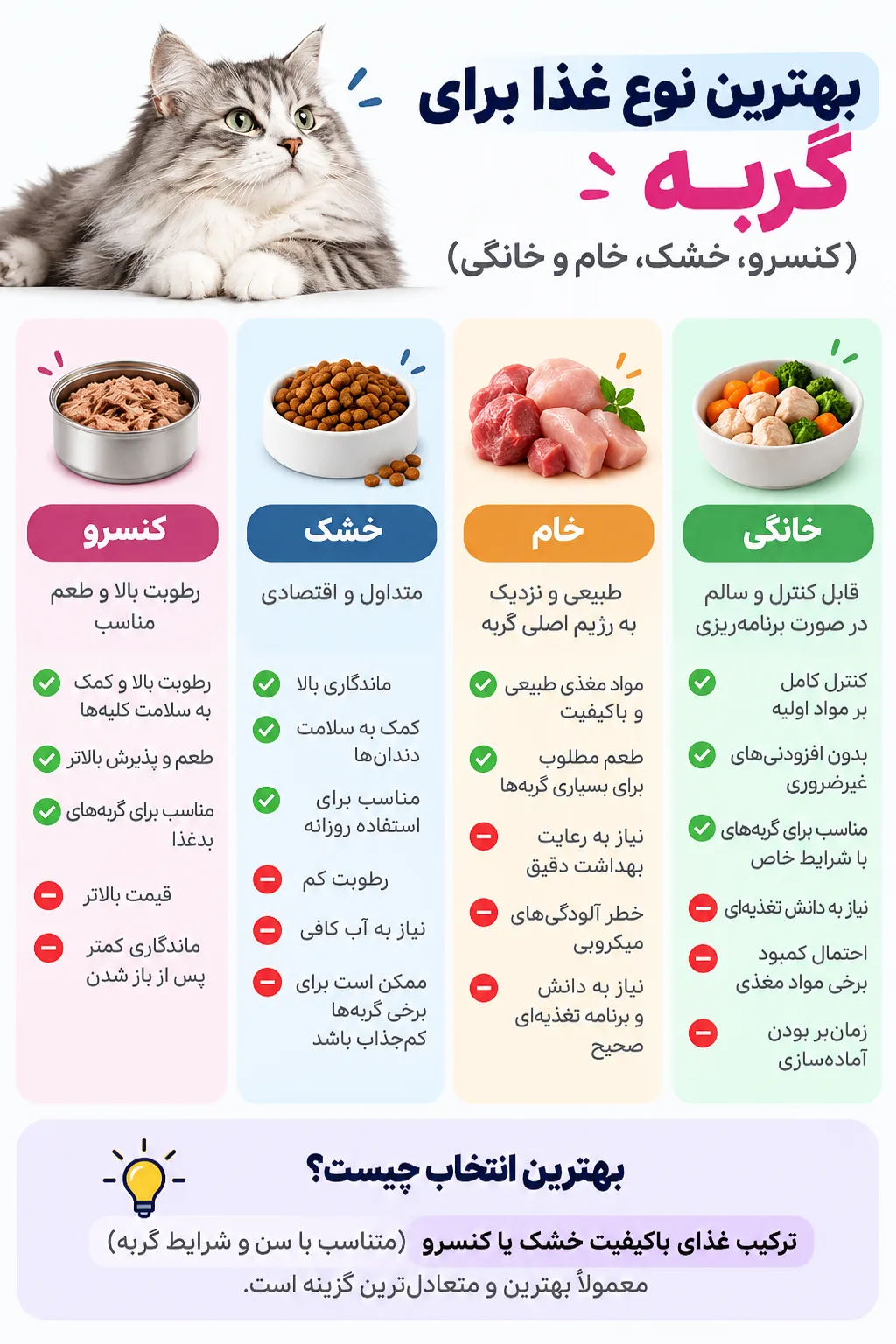 چه غذایی برای گربه خوبه؟ راهنمای کامل تغذیه گربه - تصویر 1
