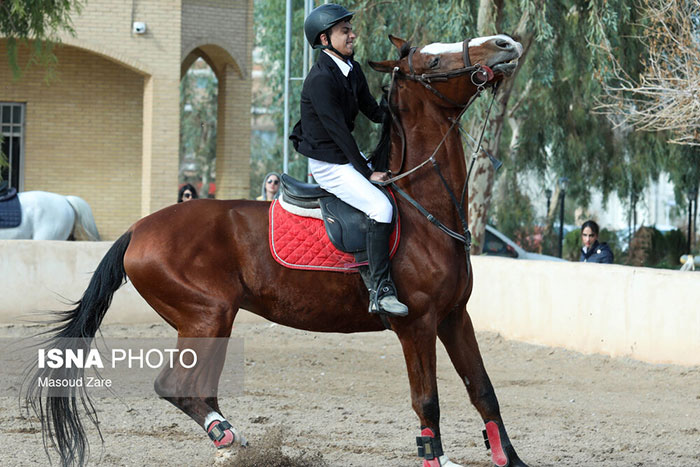 تصاویری جذاب و دیدنی از مسابقات پرش با اسب یزد