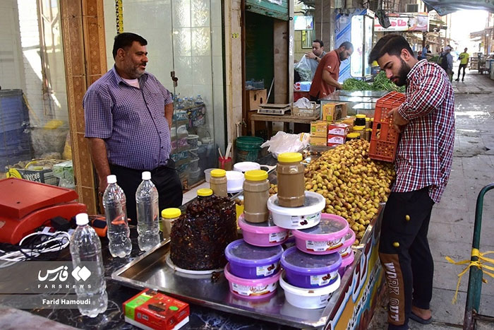 تصاویری از برداشت رُطب در فصل خرماپزان خرمشهر