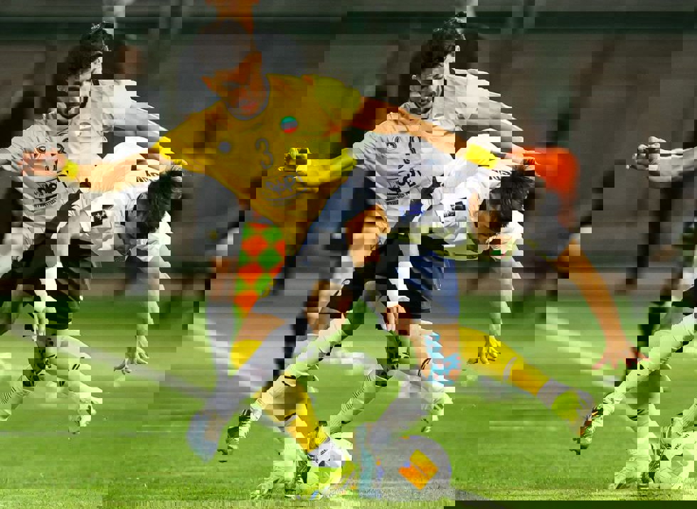 0q0idbzq0
