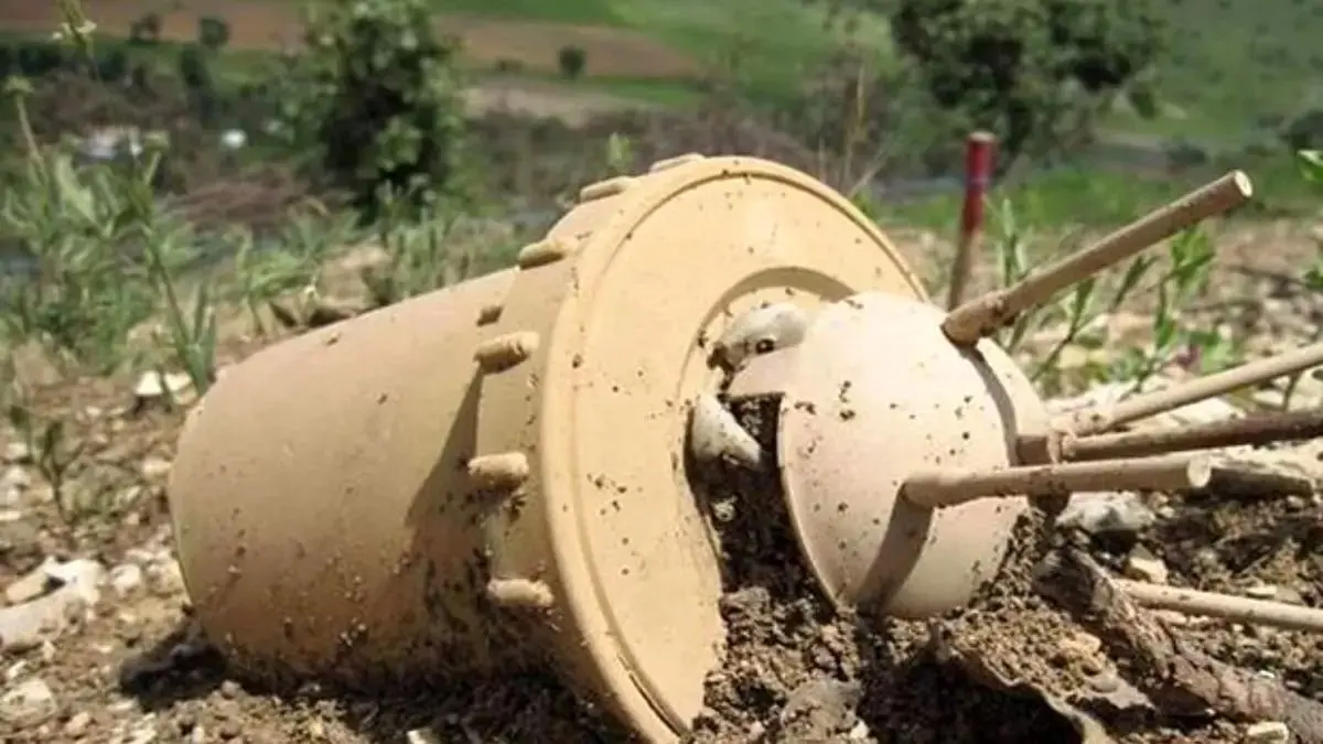 photo_2026-02-10_22-53-19