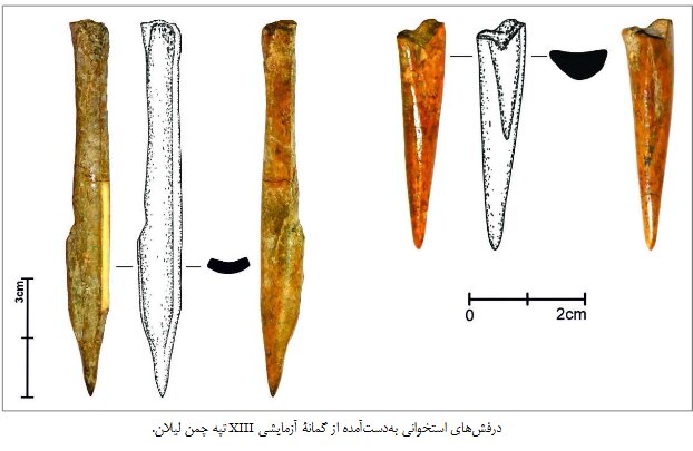 آریا جوان