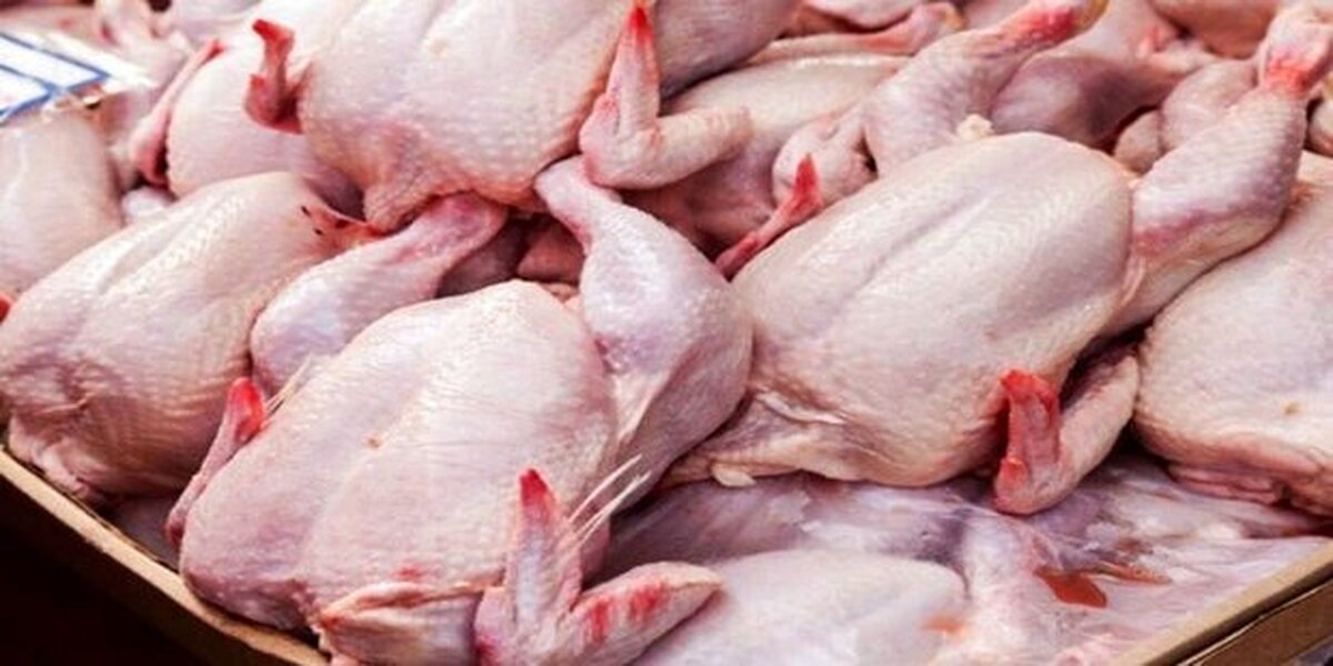 در بازار گوشت مرغ چه خبر است؟
