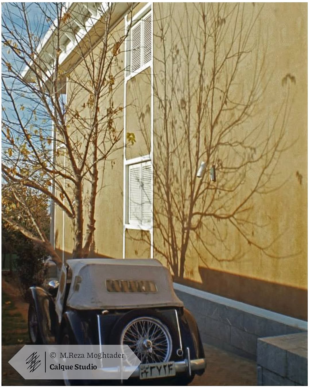 photo_2025-11-09_14-08-12 (3)