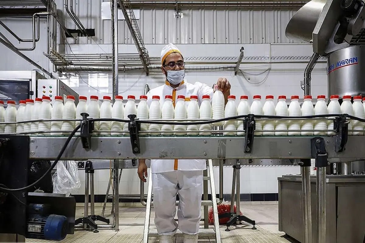 photo_2025-11-16_21-39-42