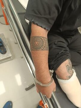 6313509