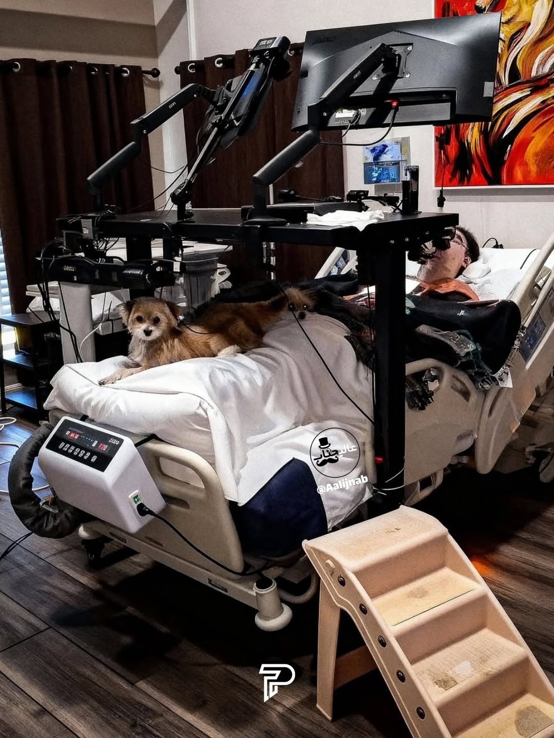 photo_2025-11-22_12-41-15