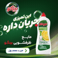 پاکشو - بینگو ظرف - شناور