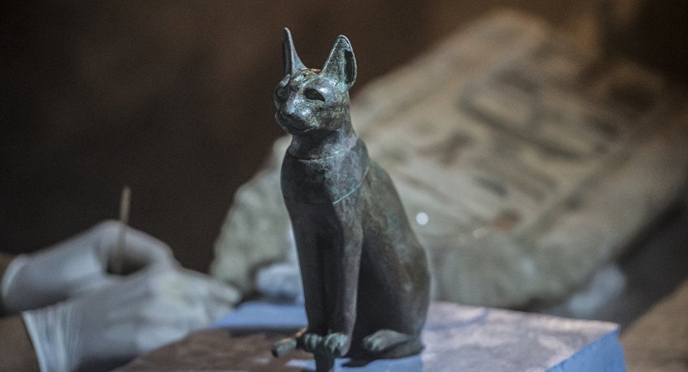 cat-history