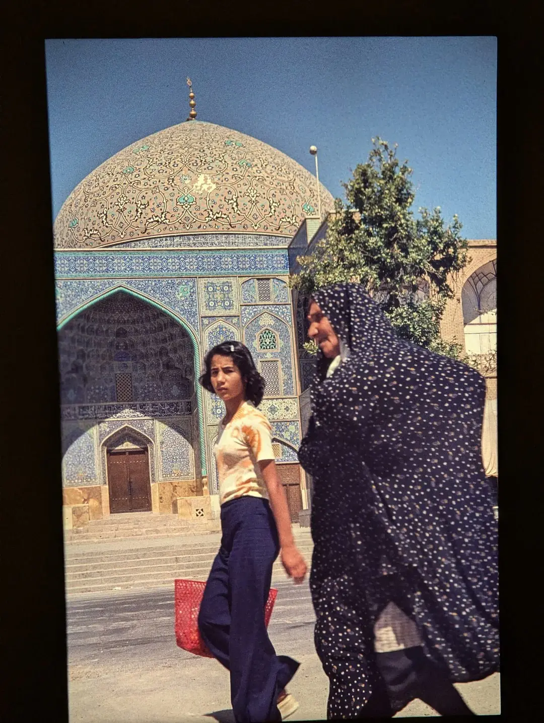 photo_2026-02-16_14-53-42