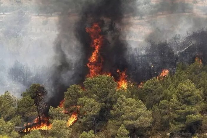 وقوع آتش‌سوزی هولناک در جنگل نوشهر