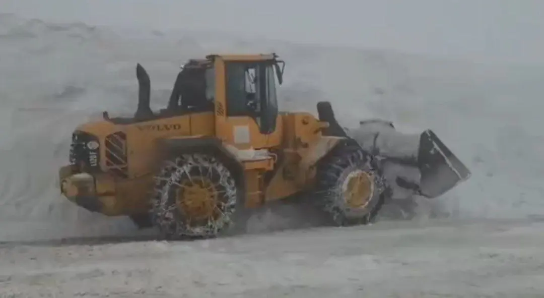 photo_2026-02-04_15-44-19