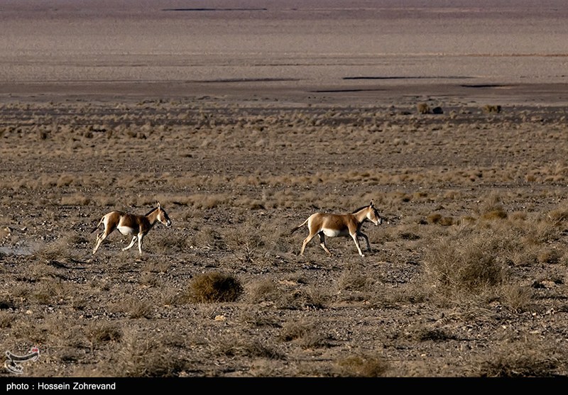 1404081012521582134542004