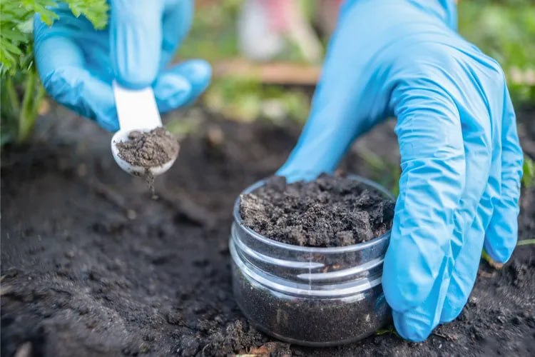 photo_2025-11-11_10-00-36