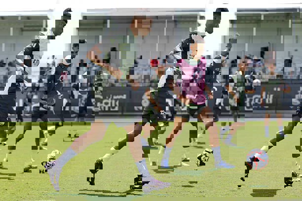 ncdz4msv0