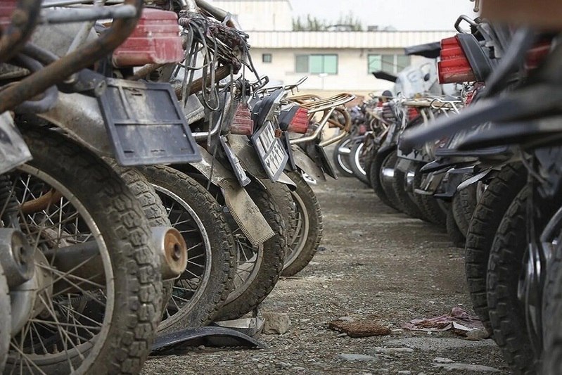 photo_2025-11-15_15-59-30