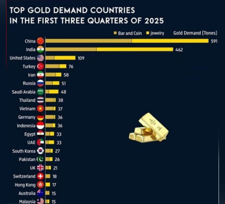 photo_2025-11-16_08-31-22