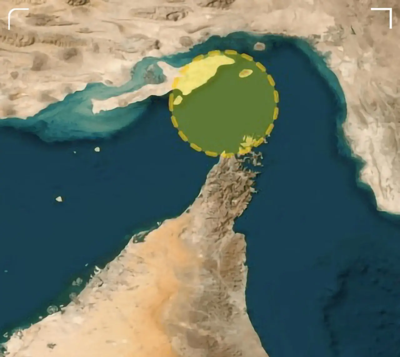 photo_2026-02-03_15-50-08