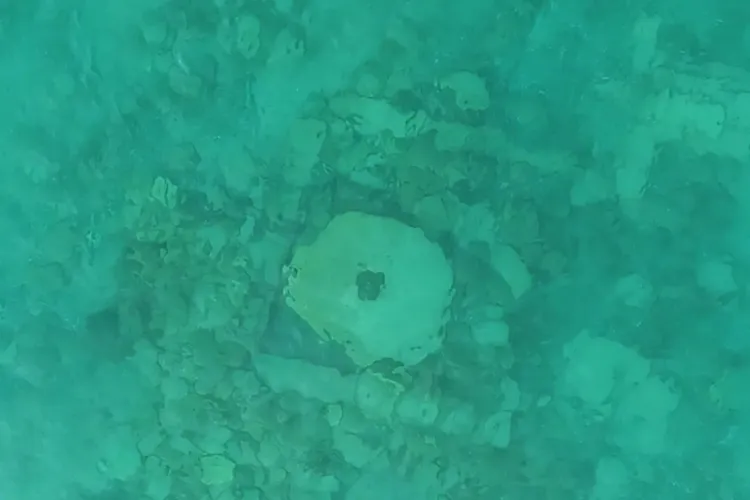 0901-6918231c6d64c1c6d9597bf4_11zon