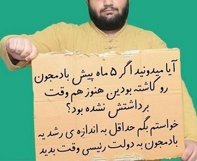 بادمجان‌ها در دولت رئیسی کم‌ کم در حال رسیدن است!