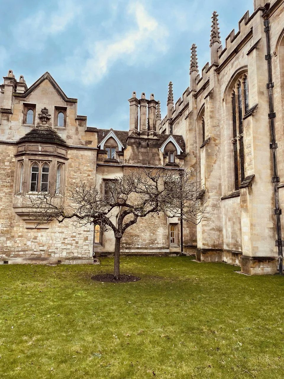 photo_2025-11-02_10-18-44