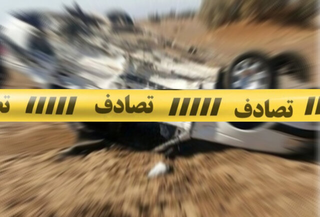 63508116