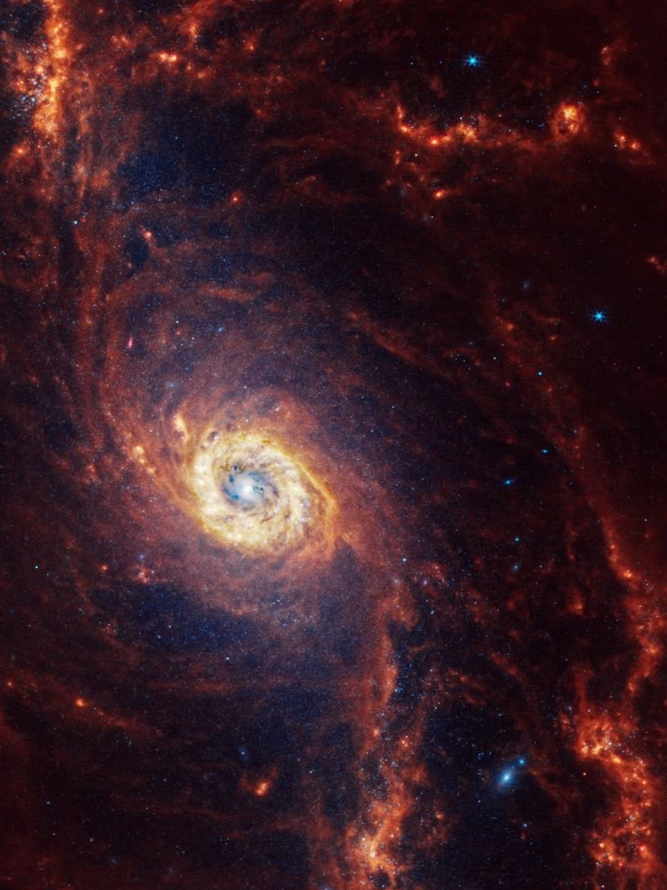 photo_2025-11-16_08-55-05