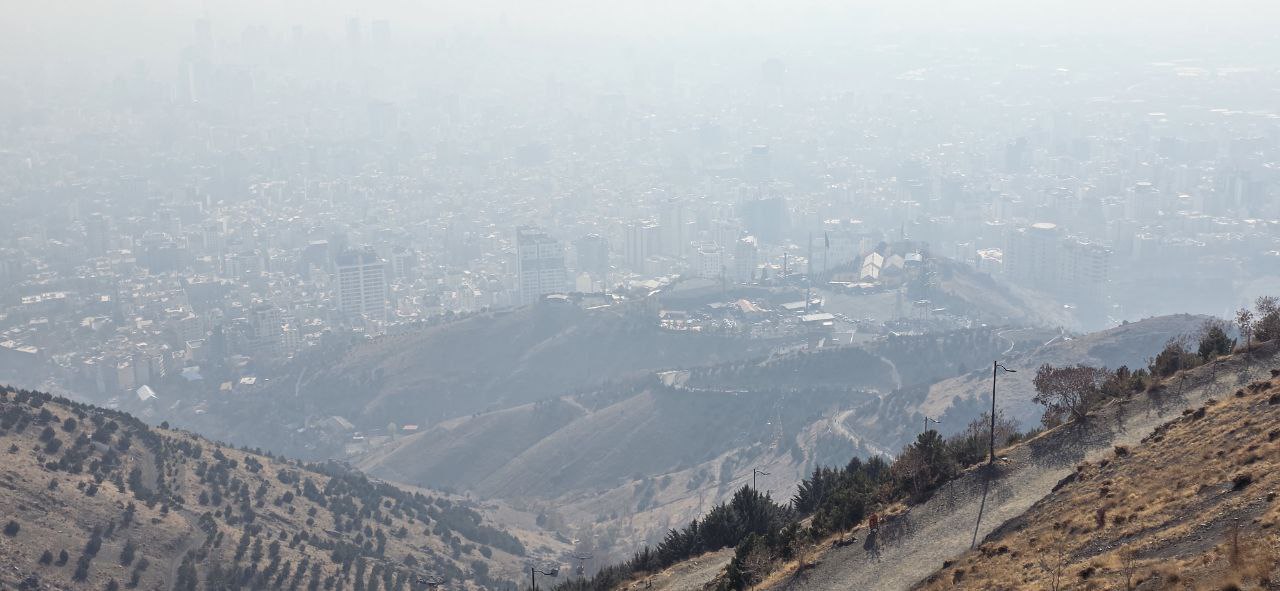 photo_2025-11-21_13-01-52