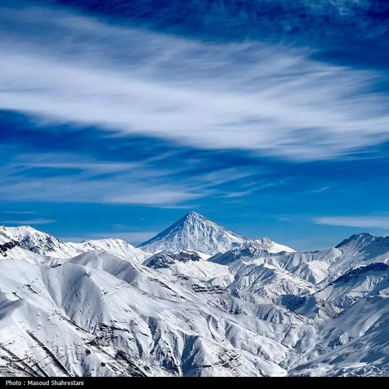 photo_2026-01-31_11-08-10