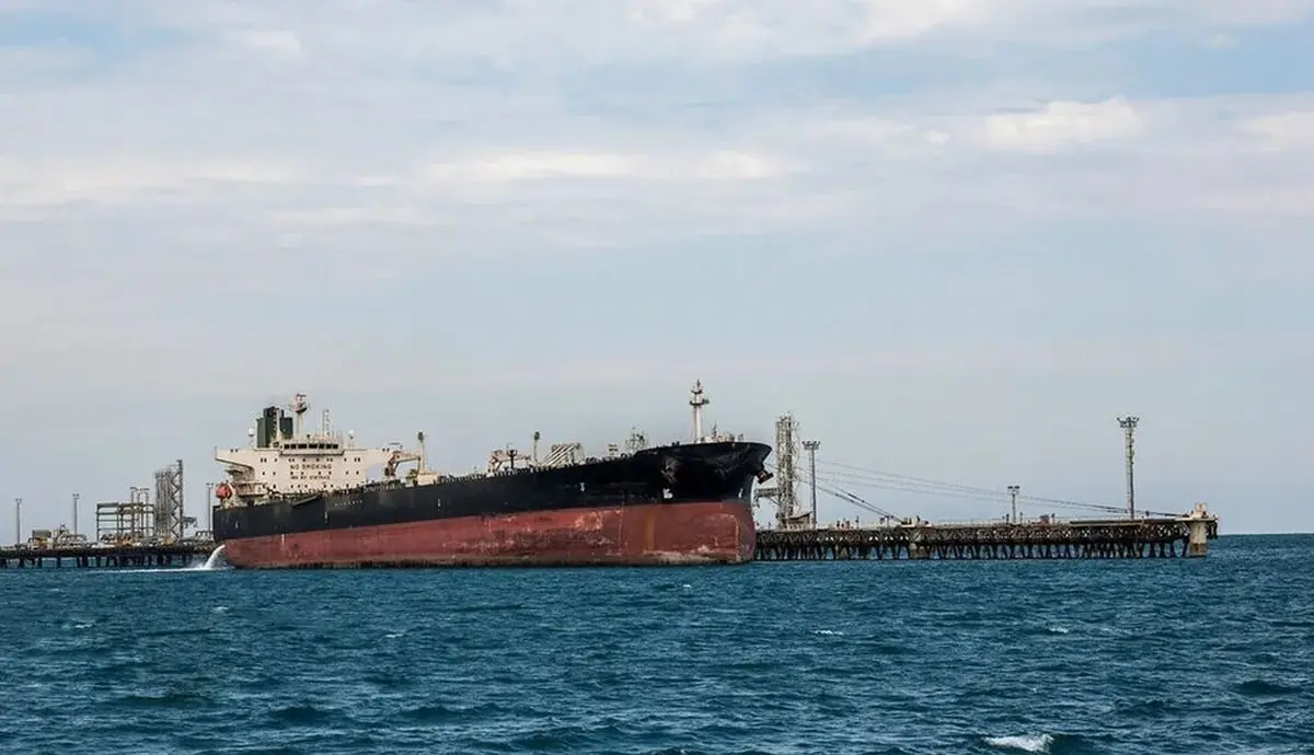 photo_2026-02-11_15-06-13