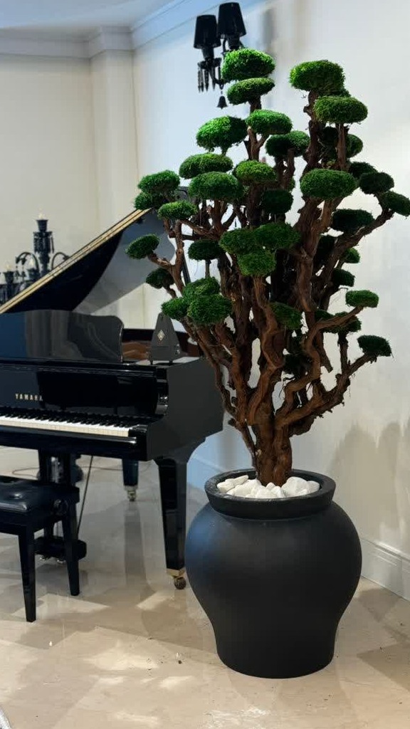 مدل_های مختلف گلدان مناسب دکوراسیون داخلی(1)