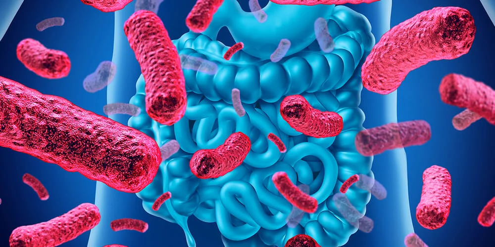 probiotic.jpg