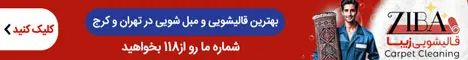 قالیشویی زیبا - استیکی پایین