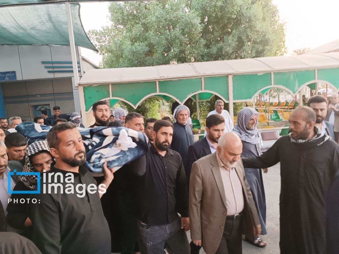 photo_2025-11-12_23-37-51