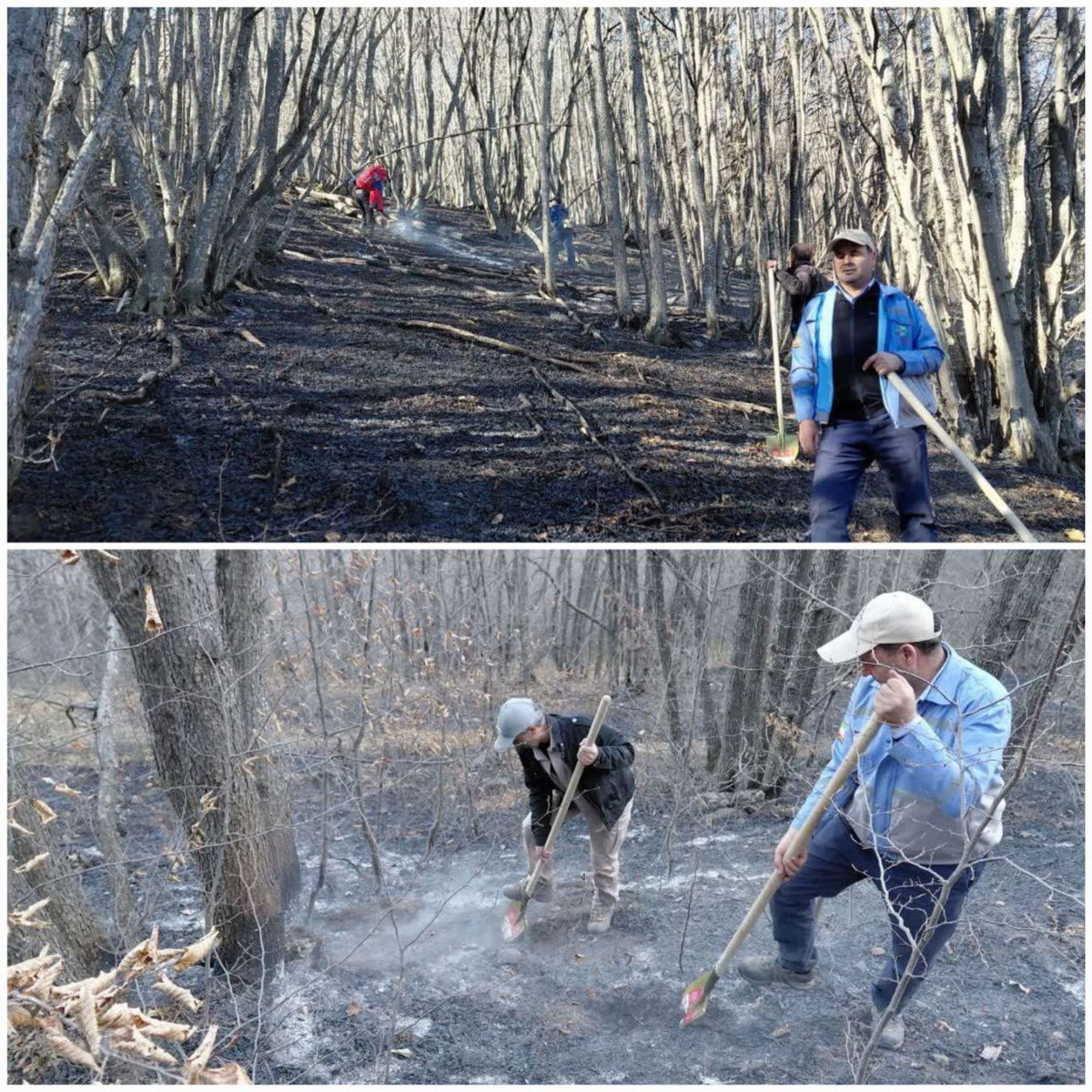 photo_2025-11-25_23-31-00