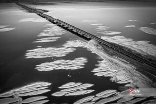 thm_3019257_964
